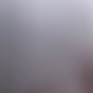 Meet your Posher, Max